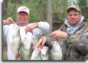 Grenada Lake Crappie