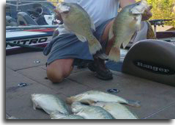 Big Grenada Lake, MS Crappie