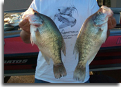 Grenada Lake Crappie