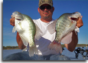 Monster Crappie