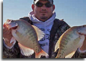 KS crappie
