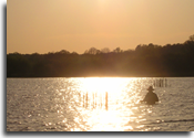 Wading for Grenada Lake, MS crappie